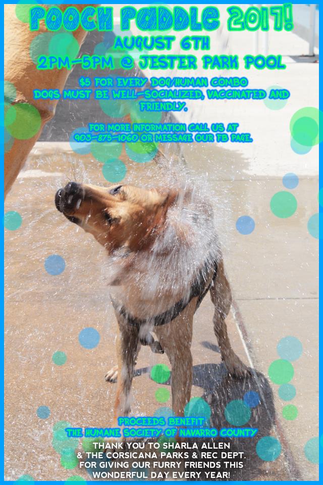 Pooch Paddle (002).jpg